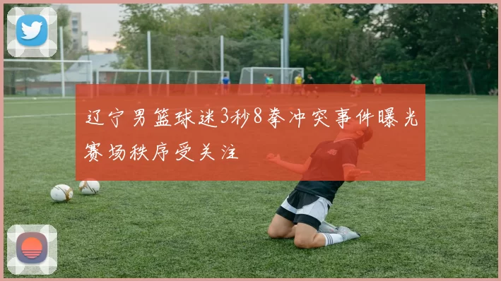 辽宁男篮球迷3秒8拳冲突事件曝光赛场秩序受关注