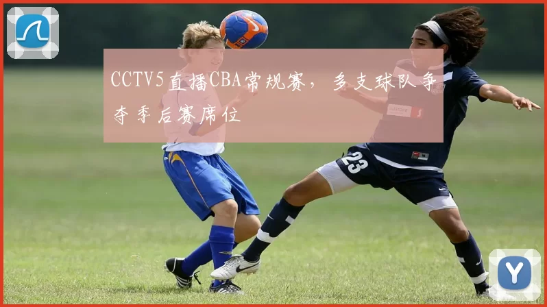 CCTV5直播CBA常规赛，多支球队争夺季后赛席位