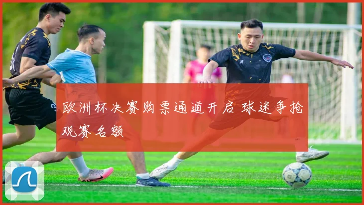 欧洲杯决赛购票通道开启 球迷争抢观赛名额